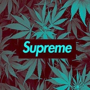 Meet your Posher, Jayden